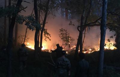 Рязанские волонтёры помогли предотвратить распространение пожара у Лесохима